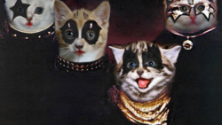 Cats-recreate-KISS-album-cover | I Love Classic Rock Videos