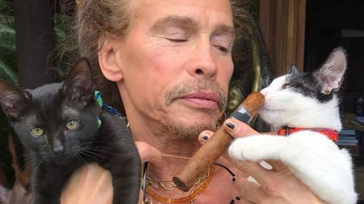 Steven-tyler-cats-cigar-bandaids | I Love Classic Rock Videos