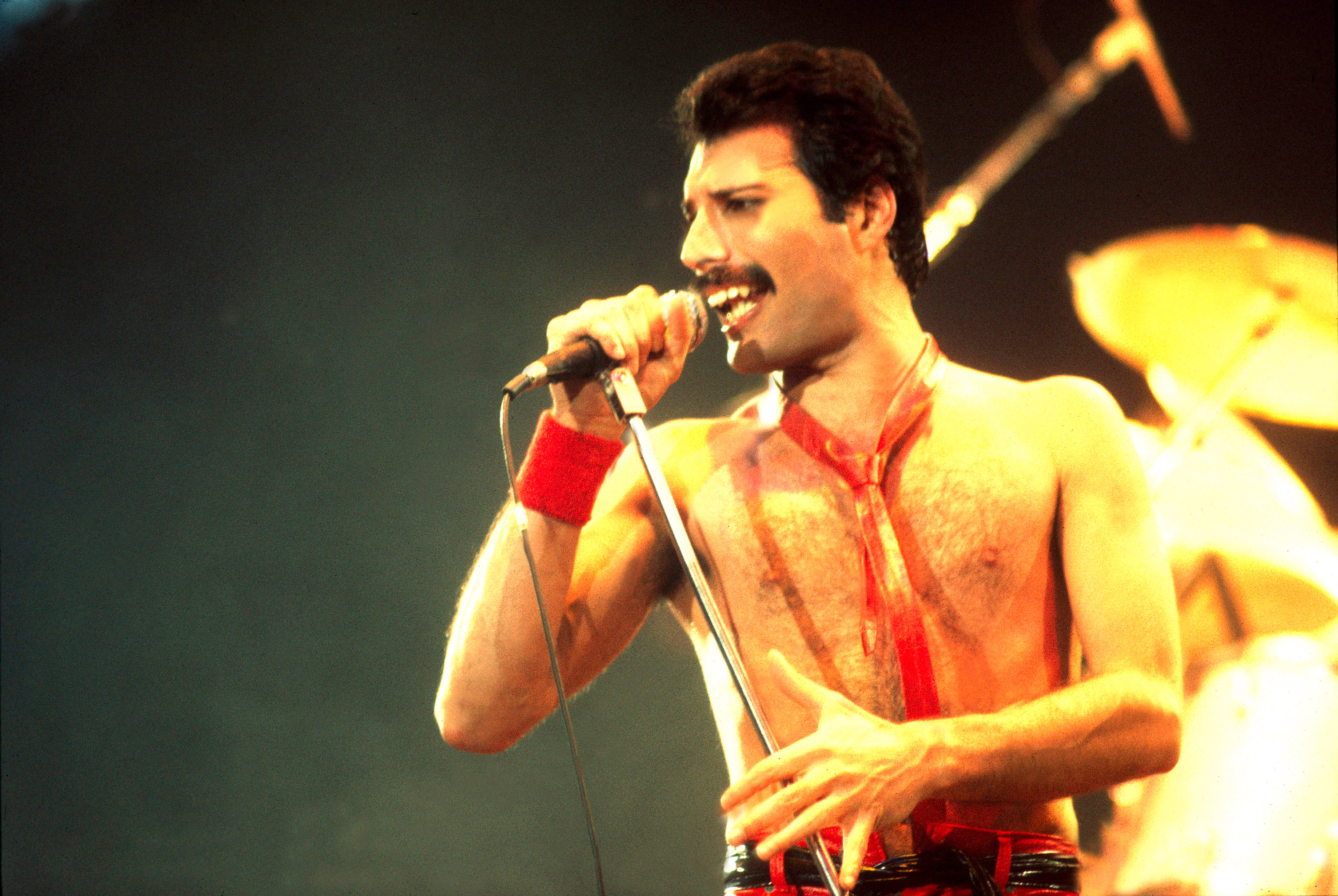 Фредди меркури национальность. Freddie Mercury 1980. Queen Фредди Меркьюри. Фредди Меркьюри 1971. Двойник Фредди Меркури.