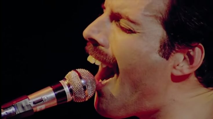 The Terrible Yet Wonderful Fight Between Freddie Mercury And Another Rock Legend – Revealed | I Love Classic Rock Videos