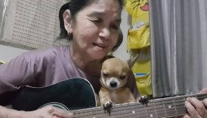 Grandma Sings “Hey Jude” To Her Chihuahua