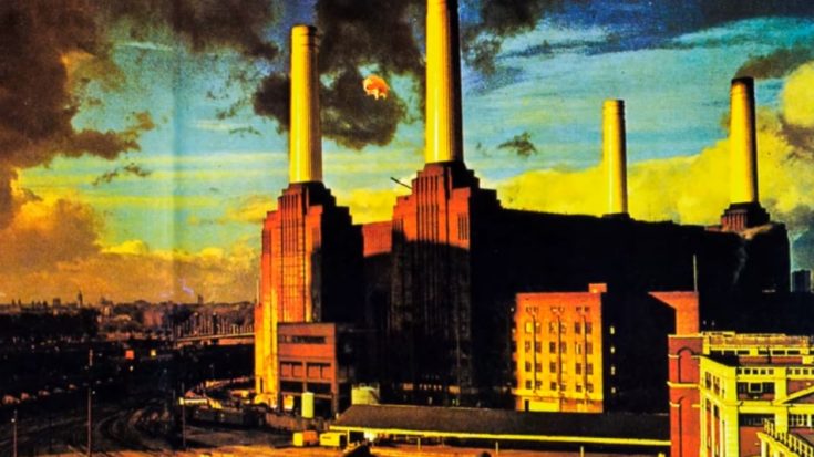 The Story Behind “Pigs (Three Different Ones)” By Pink Floyd | I Love Classic Rock Videos