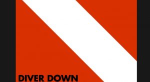 Van Halen | 5 Songs That Popularized The Album “Diver Down”