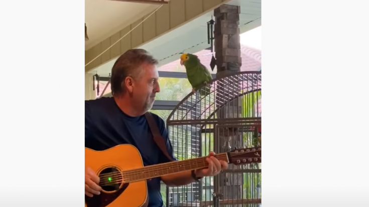 Parrot Sings Bon Jovi’s “Wanted Dead Or Alive” Better Than You | I Love Classic Rock Videos
