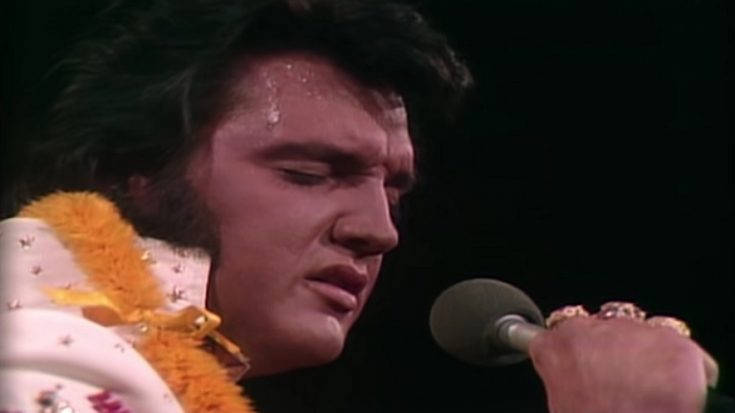 The Story of The Last Year of Elvis Presley’s Life | I Love Classic Rock Videos