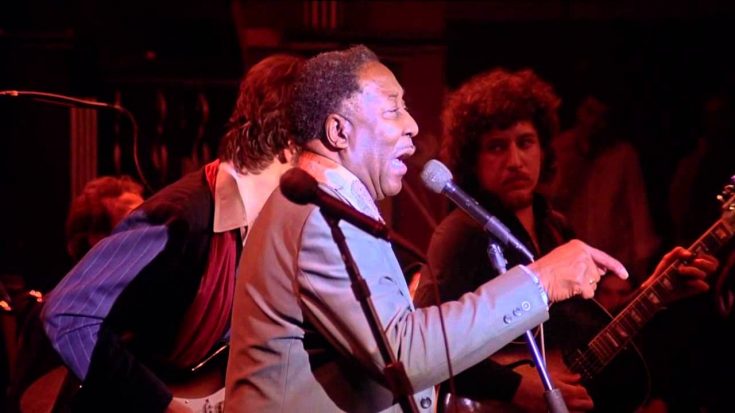 Watch The Band & Muddy Waters Iconic “Mannish Boy” 1976 Performance | I Love Classic Rock Videos