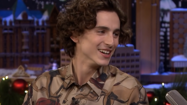 Timothee Chalamet to Sing as Bob Dylan in Upcoming Biopic | I Love Classic Rock Videos
